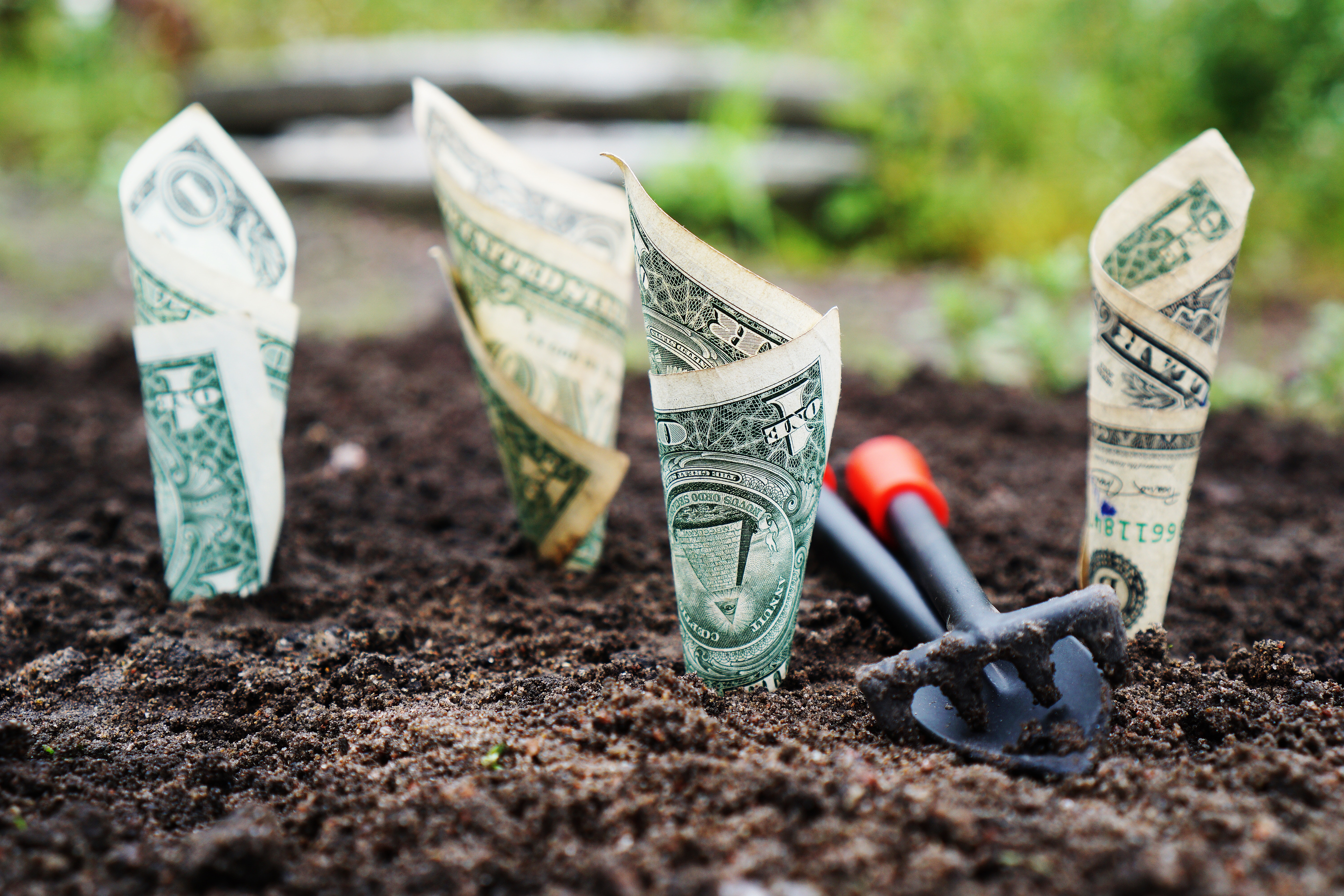 Foreign Investments for tourists in the stock market.
